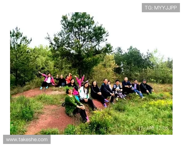 开云ty品牌的历史沿革与文化传承，探索奢侈品牌的深厚底蕴